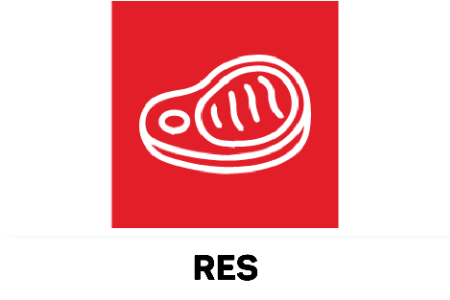 Carne de Res
