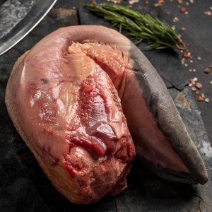 Lengua _1